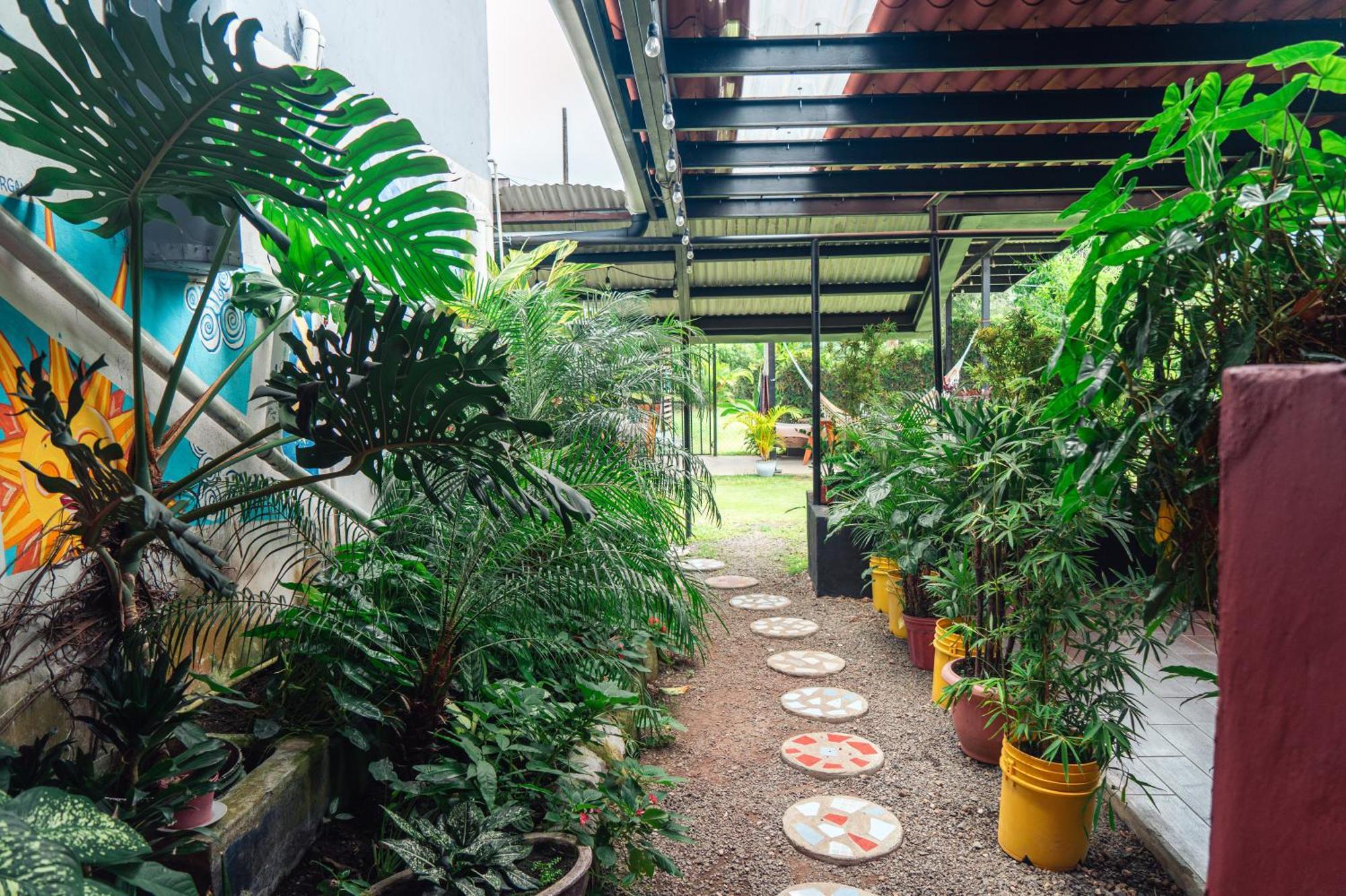 Bodhi Hostel & Lounge El Valle de Anton ภายนอก รูปภาพ